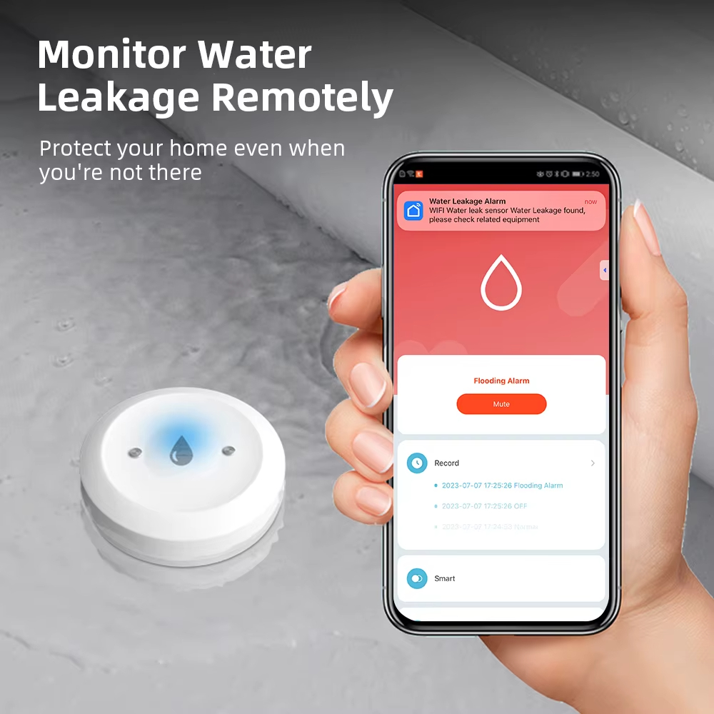 Sensore Intelligente ZigBee pe - Kitchen Appliances Video recensione e prezzo